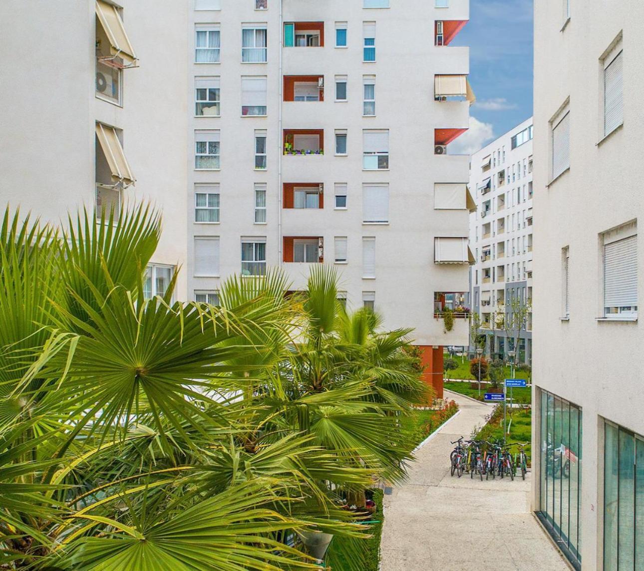 Center Of Apartament *
